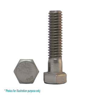 1/2BSW X 2.3/4 G304 STAINLESS STEEL HEX BOLT