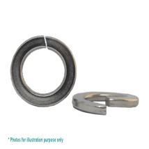 1/8 G316 STAINLESS MEDIUM SECTION SPRING WASHER